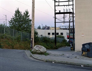 On the Hairy Idea of Beauty: Seven Works by Jeff Wall